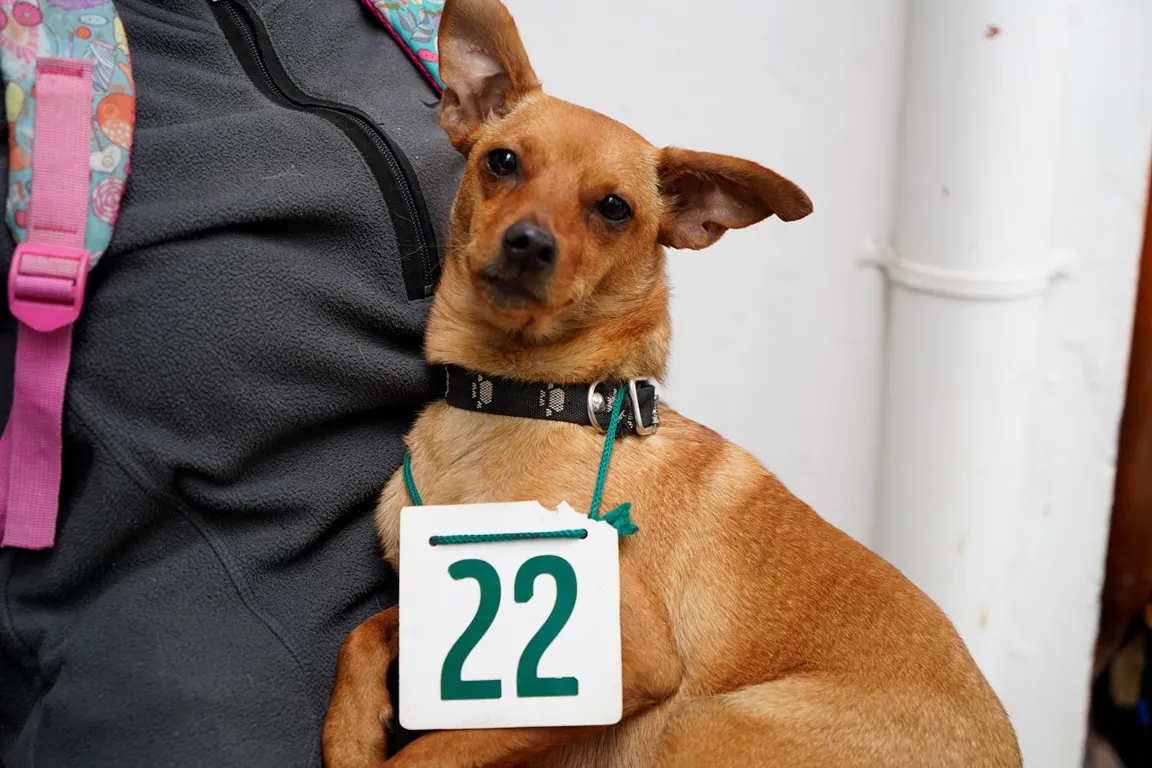 CASTRACION-BARRIO-EVA-PERON-2